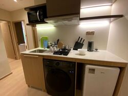 Mount Elizabeth Link (D9), Condominium #606374711